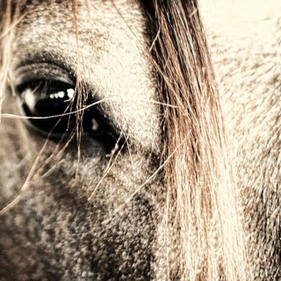 Meet your Posher, Flori - Picture 1 of 1